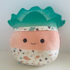 12" Succulent Squishmallow